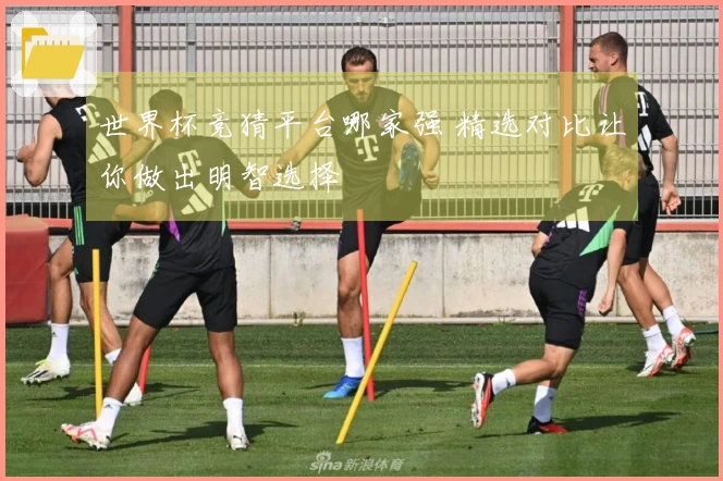 世界杯竞猜平台哪家强 精选对比让你做出明智选择