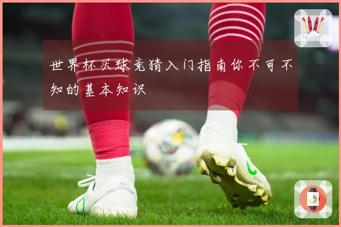 世界杯买球竞猜入门指南你不可不知的基本知识