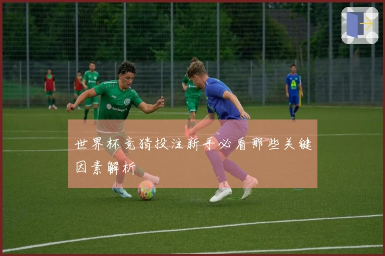 世界杯竞猜投注新手必看那些关键因素解析