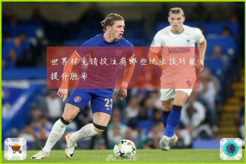 世界杯竞猜投注有哪些玩法技巧能提升胜率