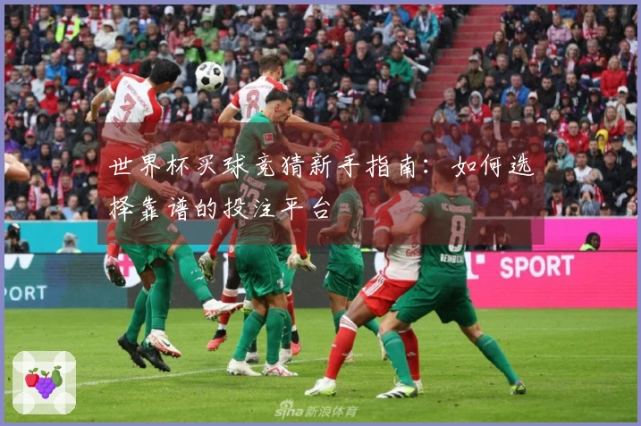 世界杯买球竞猜新手指南：如何选择靠谱的投注平台
