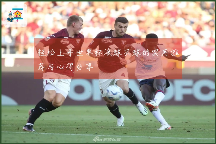 轻松上手世界杯滚球买球的实用推荐与心得分享