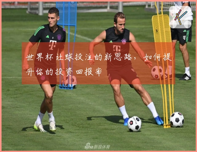 世界杯让球投注的新思路，如何提升你的投资回报率