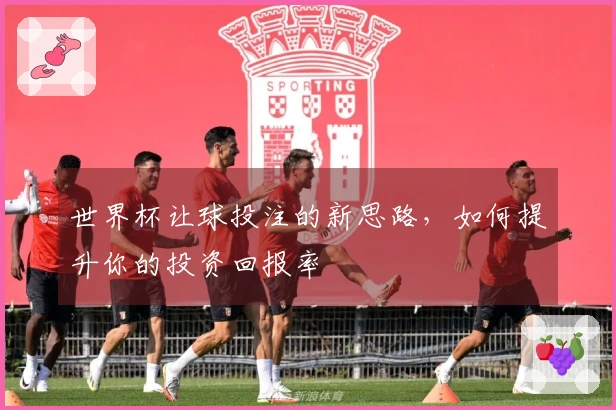 世界杯让球投注的新思路，如何提升你的投资回报率