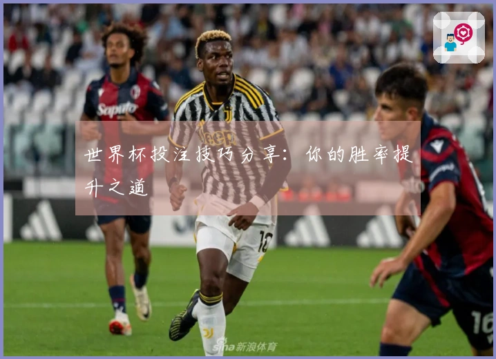 世界杯投注技巧分享：你的胜率提升之道