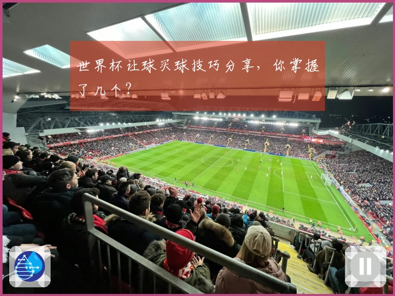 世界杯让球买球技巧分享，你掌握了几个？