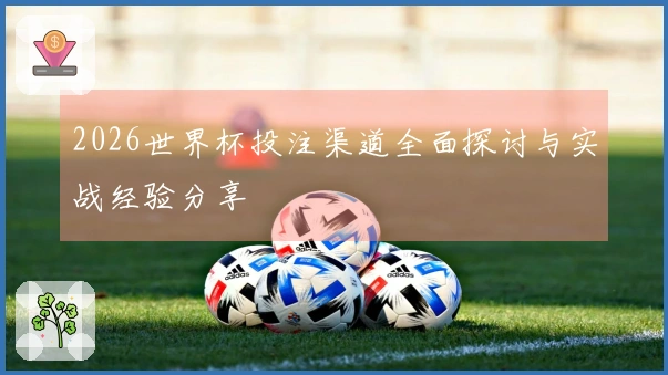 2026世界杯投注渠道全面探讨与实战经验分享