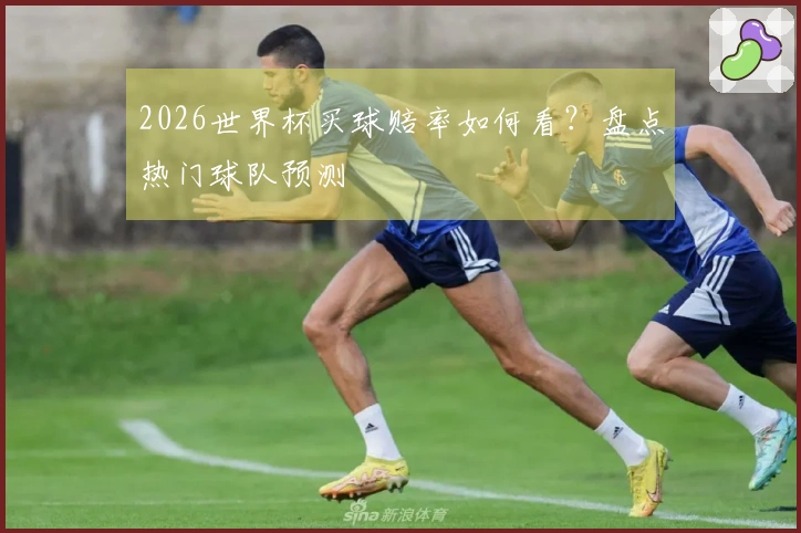 2026世界杯买球赔率如何看？盘点热门球队预测