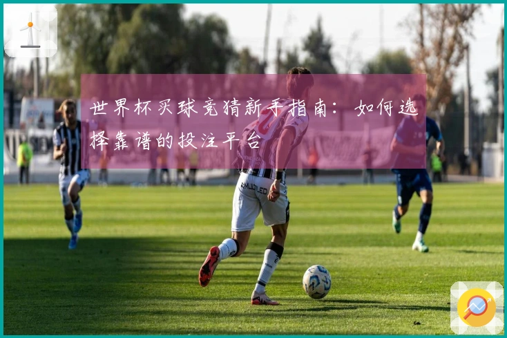世界杯买球竞猜新手指南：如何选择靠谱的投注平台