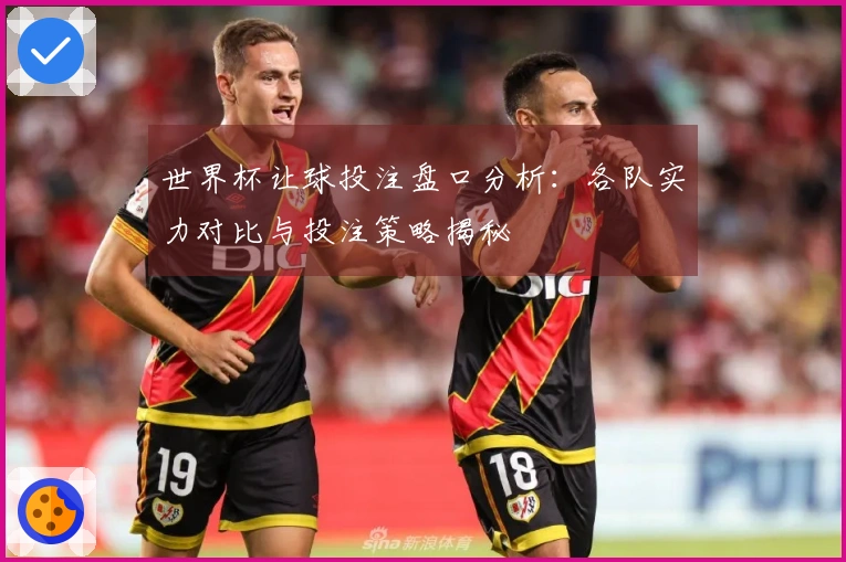 世界杯让球投注盘口分析：各队实力对比与投注策略揭秘