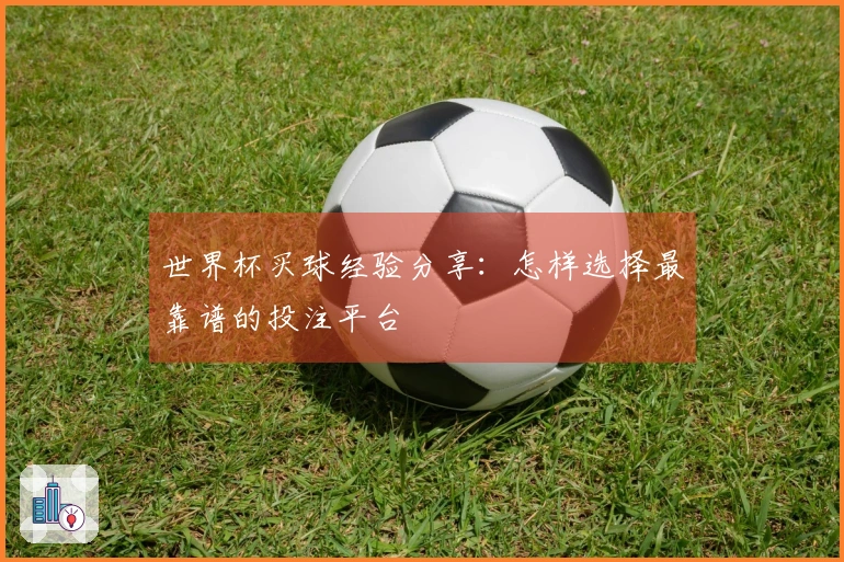 世界杯买球经验分享：怎样选择最靠谱的投注平台