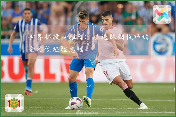 世界杯投注推荐：从选队到技巧的全方位经验总结