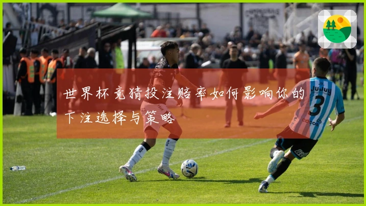 世界杯竞猜投注赔率如何影响你的下注选择与策略