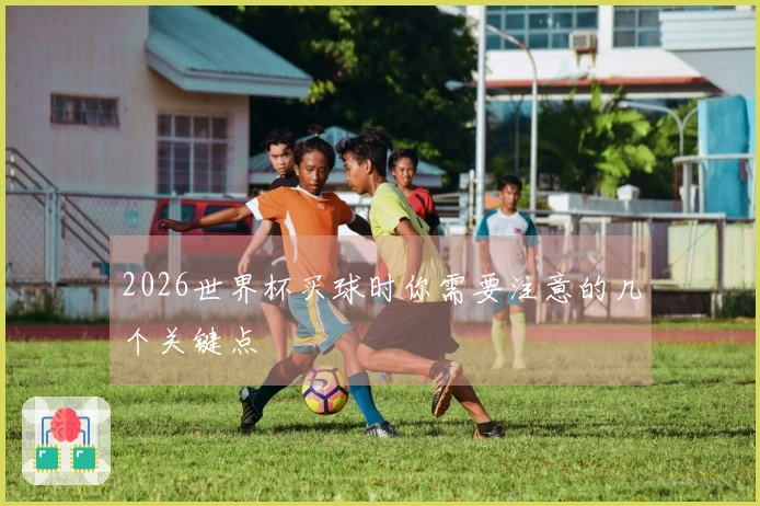 2026世界杯买球时你需要注意的几个关键点