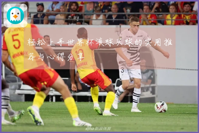 轻松上手世界杯滚球买球的实用推荐与心得分享